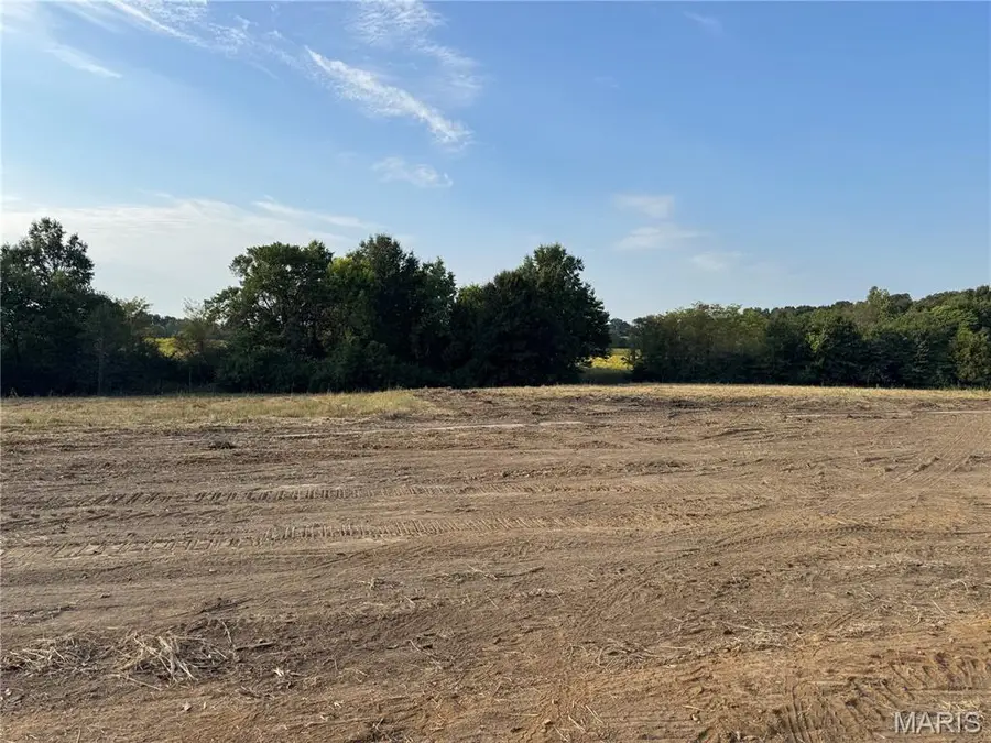 131 Prairie View Drive, Troy, MO 63379 - #3