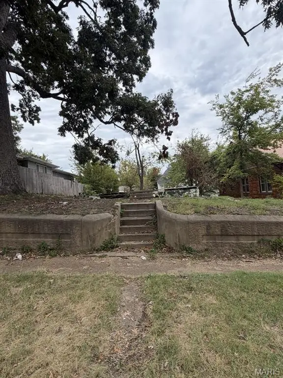 807 Lester Street, Poplar Bluff, MO 63901 - #1