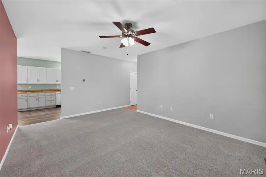 113 Rosette Drive, Belleville, IL 62220 - #3