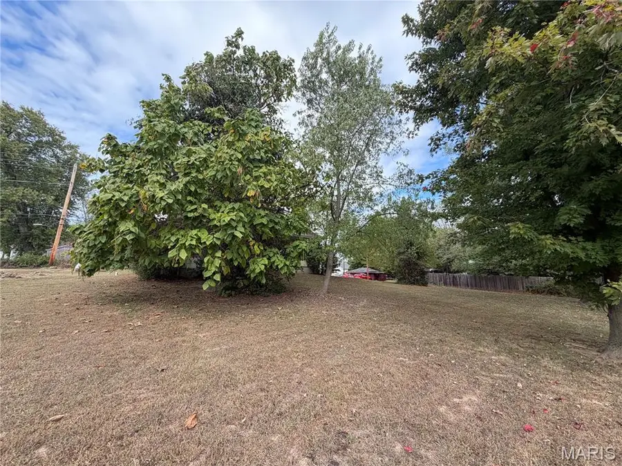 1202 S Main Street, De Soto, MO 63020 - #2