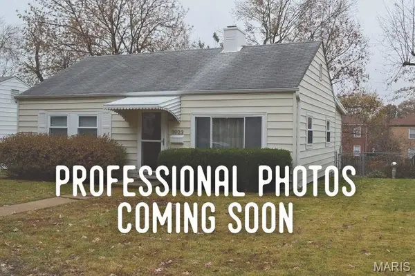 3923 Wenzlick Avenue, St Louis, MO 63109