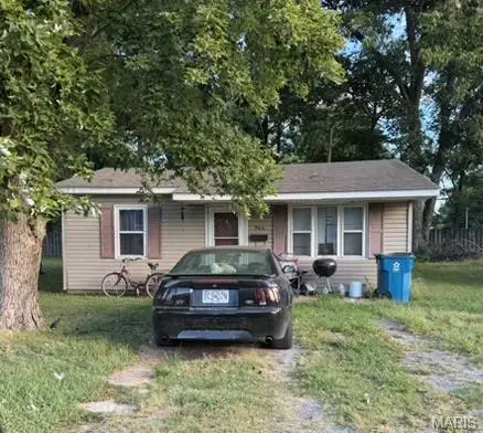 905 Mott, New Madrid, MO 63869 - #1