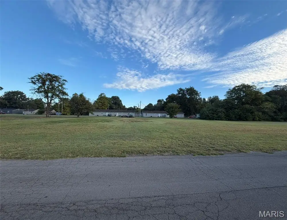0 Waters, New Madrid, MO 63869 - #1