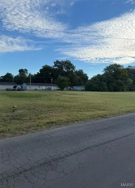 0 Waters, New Madrid, MO 63869 - #3
