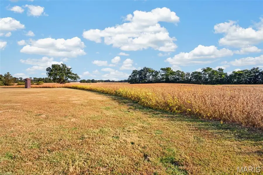 Lot 1 E Back Street, Hecker, IL 62248 - #2