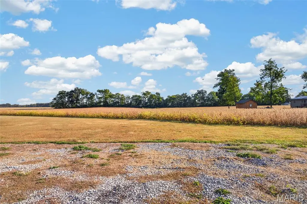 Lot 2 E Back Street, Hecker, IL 62248 - #1