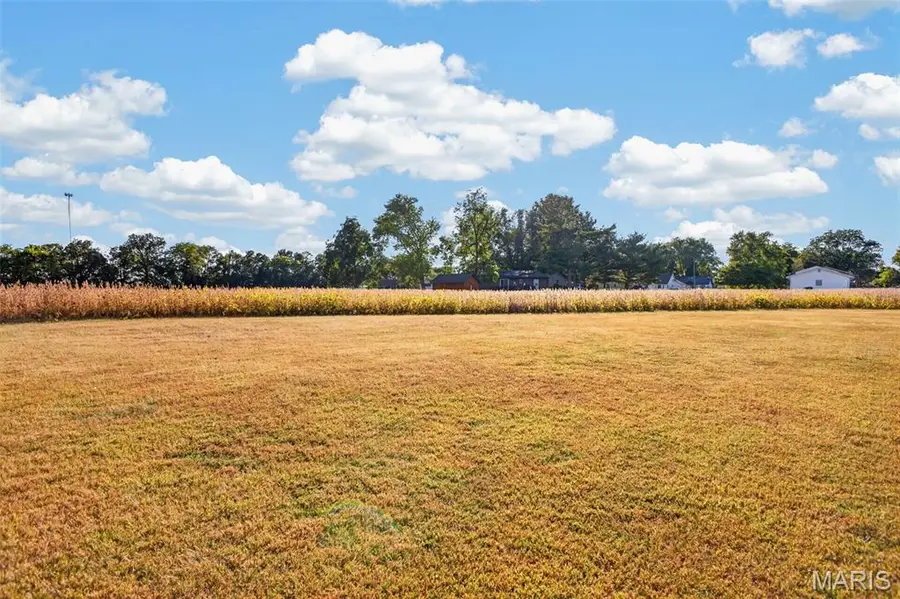 Lot 2 E Back Street, Hecker, IL 62248 - #3