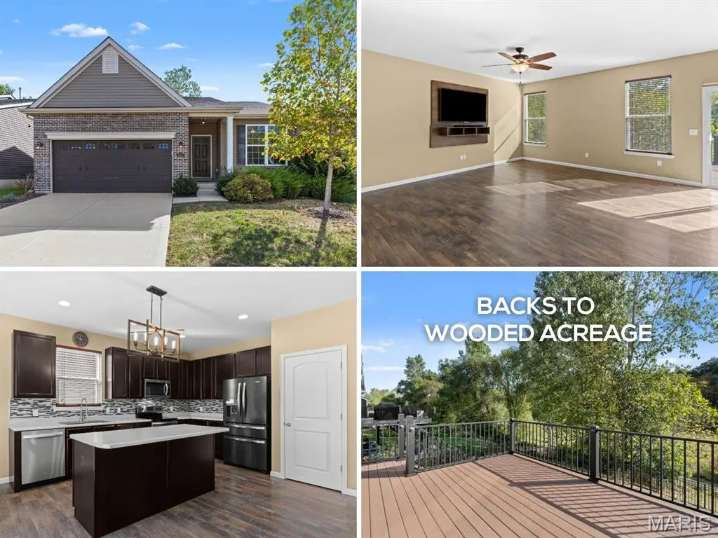664 Wilmer Meadow Drive, Wentzville, MO 63385 - #1