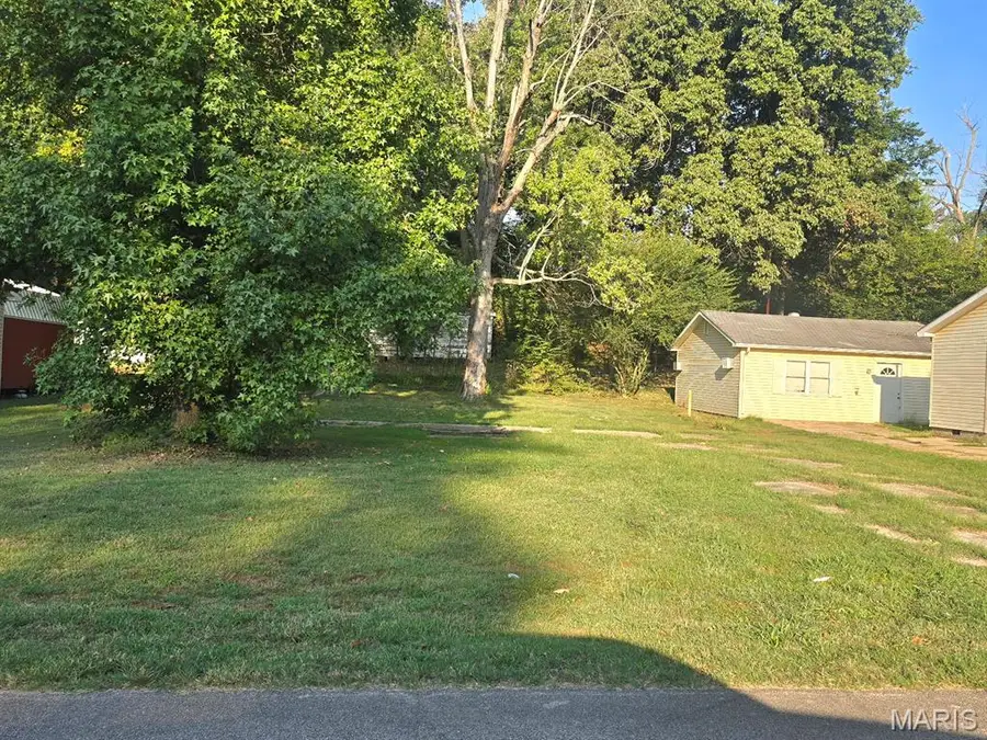 701 N Hickory Street, Dexter, MO 63841 - #2