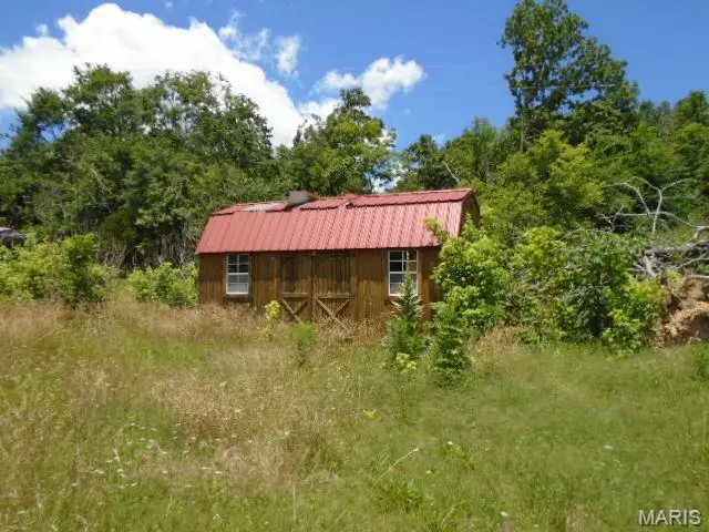 49 Wayne 459, Piedmont, MO 63957 - #1