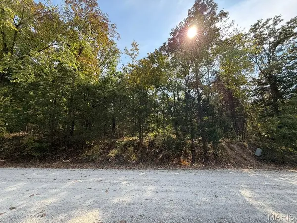 6-685 Bunker Hill Drive, De Soto, MO 63020