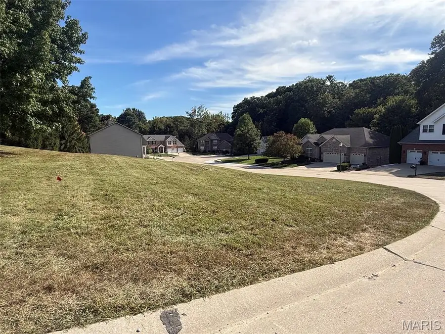 34 Wolfe Creek Court, Glen Carbon, IL 62034 - #3