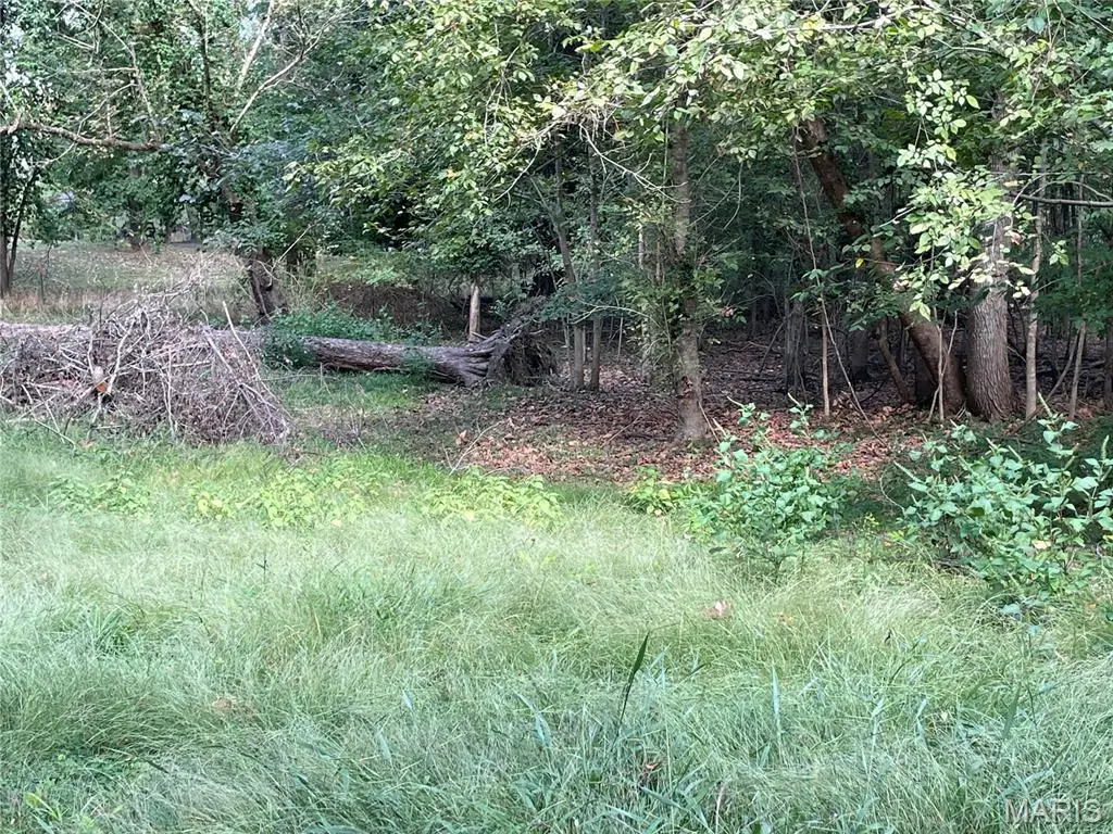 0 River Road, Piedmont, MO 63957 - #1