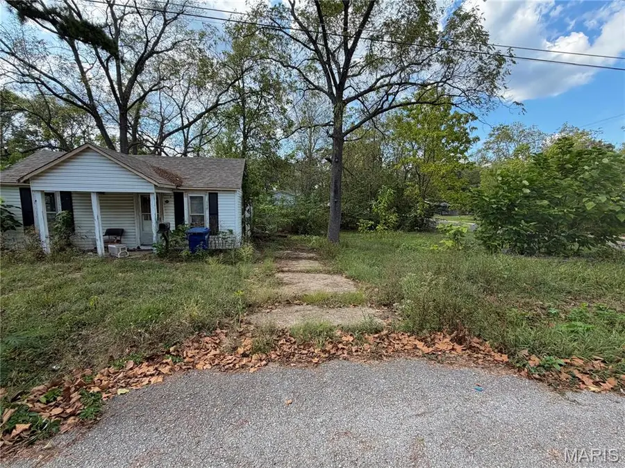 603 S Elmer Street, Salem, MO 65560 - #2