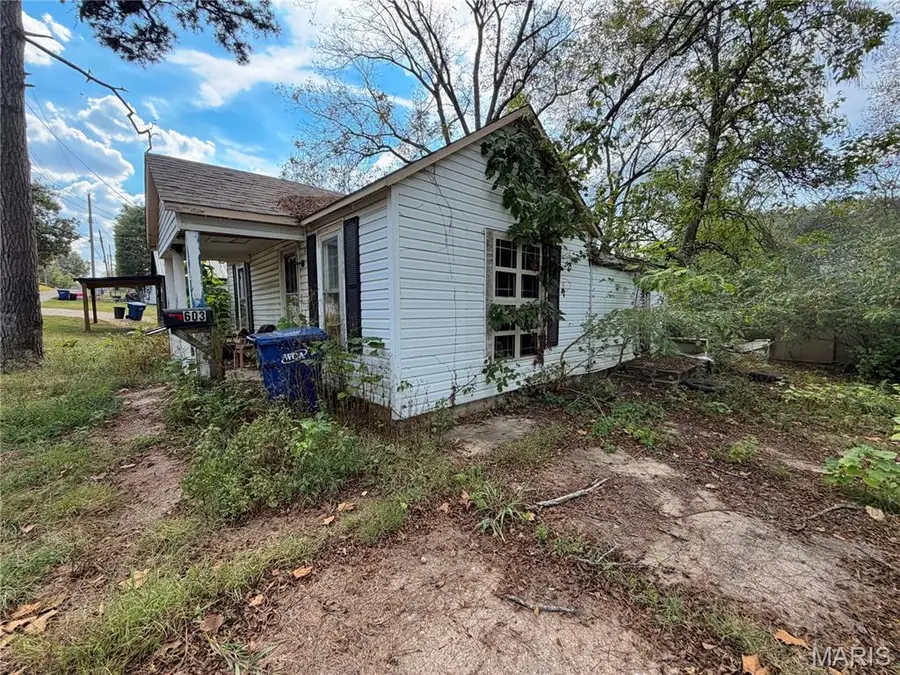 603 S Elmer Street, Salem, MO 65560 - #3