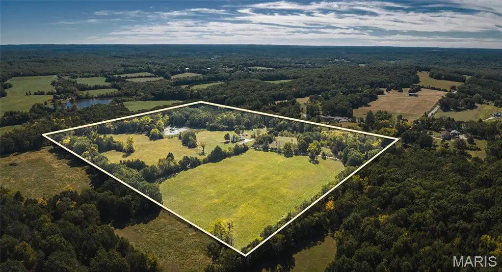 8134 Diamond School Road, Luebbering, MO 63061 - #1