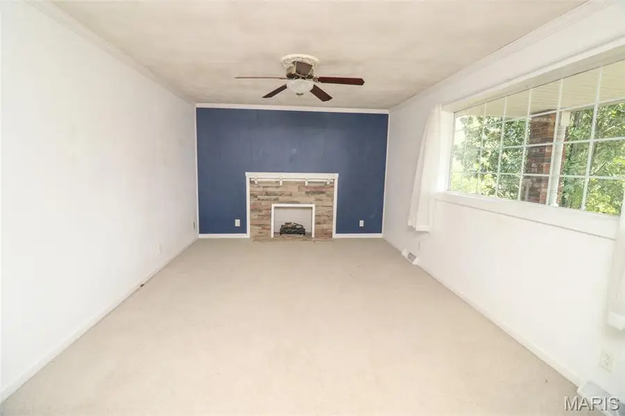 103 S Roosevelt Street, Desloge, MO 63601 - #3