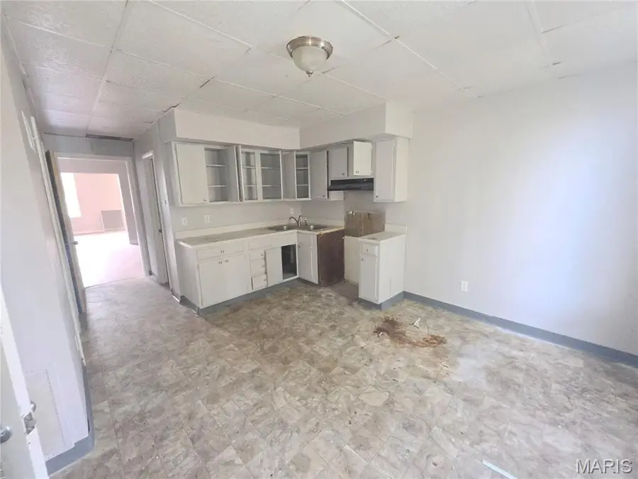 4138 Oregon Avenue, Saint Louis, MO 63118 - #2