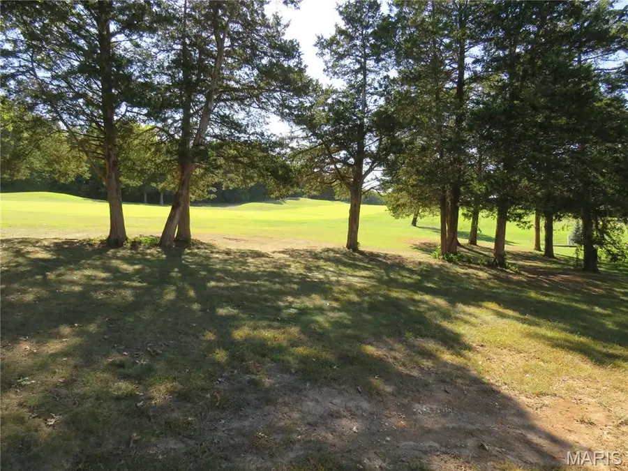 2450 Golden Bear Way #703A, Wentzville, MO 63385 - #2