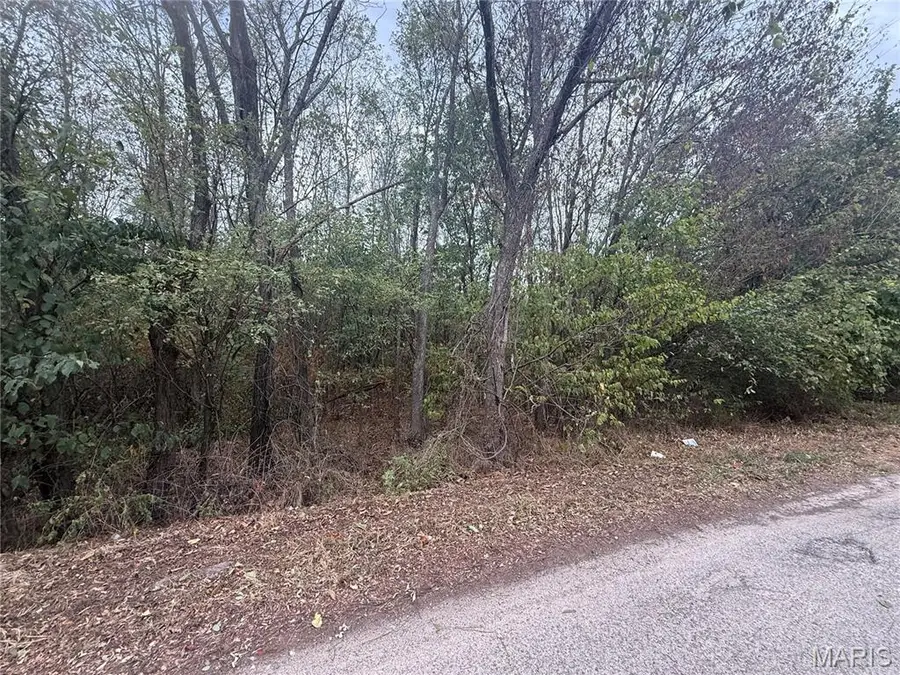 123 Brice Street, Lebanon, MO 65536 - #3
