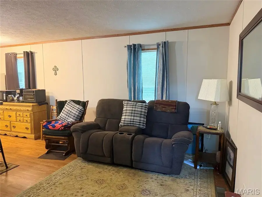262 Ripley Bb-1, Fairdealing, MO 63939 - #3