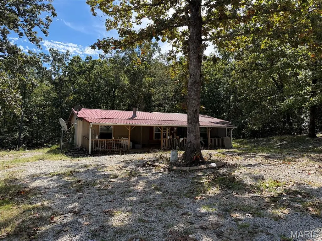 328 Johns Branch Road, Wappapello, MO 63966 - #1