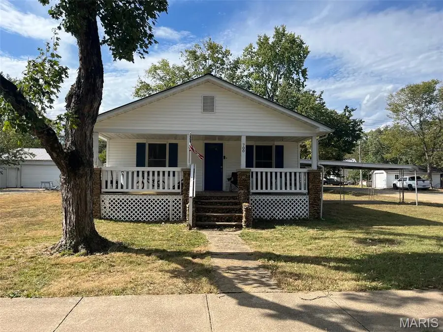 700 Camilla Street, Park Hills, MO 63601 - #3