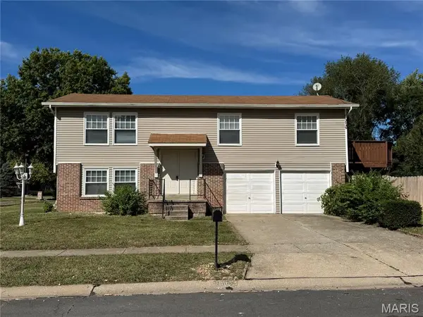 6113 Lake Paddock Drive, Florissant, MO 63033