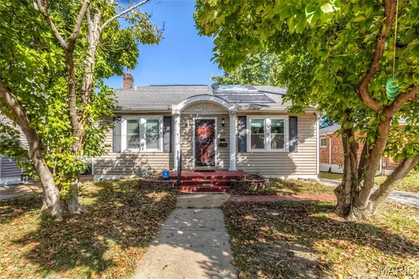 7317 Weil Avenue, Shrewsbury, MO 63119