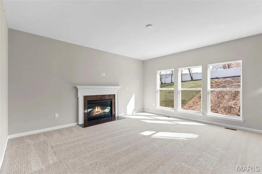 2 Hermitage Ii At Elm Crossing, Saint Charles, MO 63301 - #3