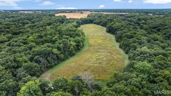 20661 Johnson Hollow Rd, Center, MO 63436