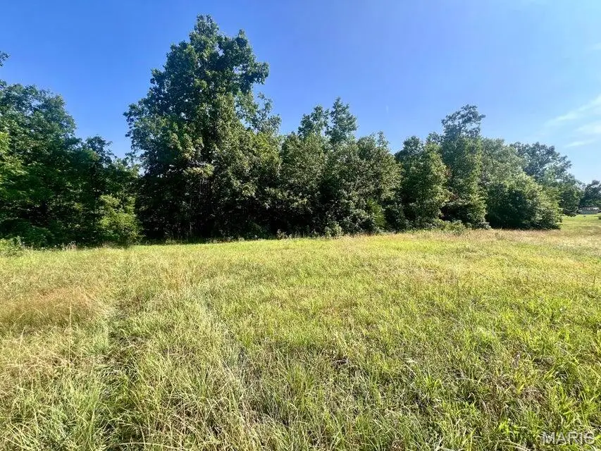 000 Highway Z, Houston, MO 65483 - #3