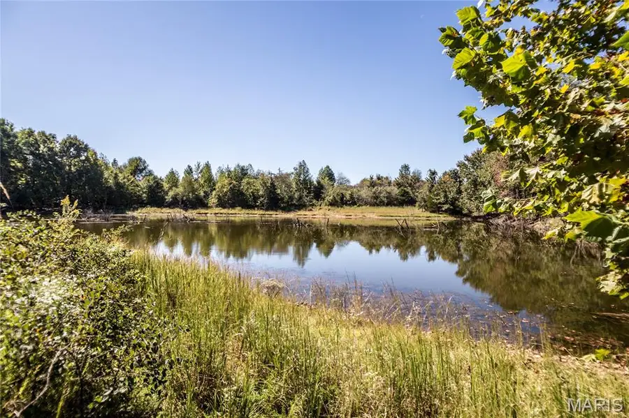 1089 County Road 364, Harviell, MO 63945 - #2