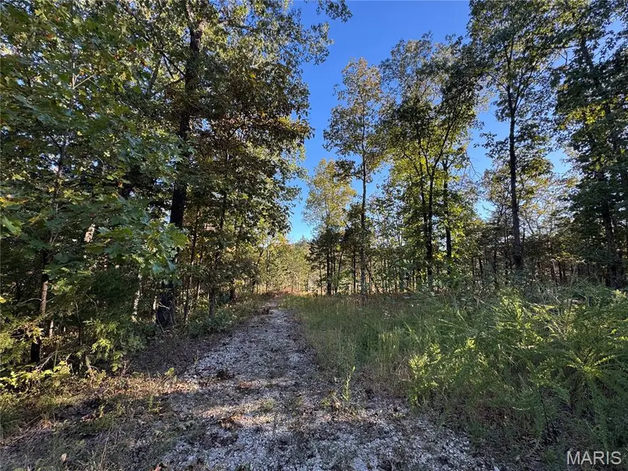 3214 Mossy Ridge Way, Pacific, MO 63069 - #3