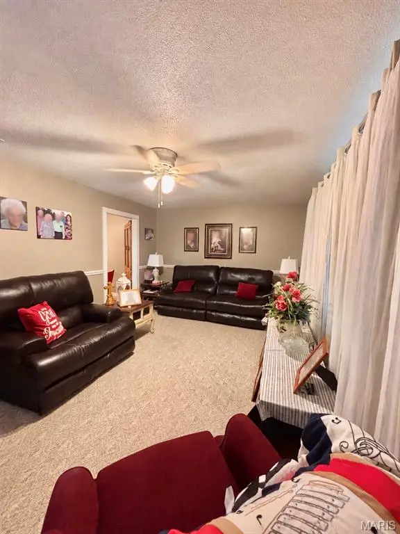 1515 Sunset Drive, Poplar Bluff, MO 63901 - #3