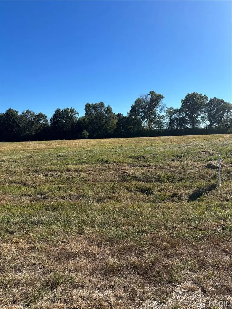 Lot 12 Jewell Lynn Ct, Warrenton, MO 63383 - #1