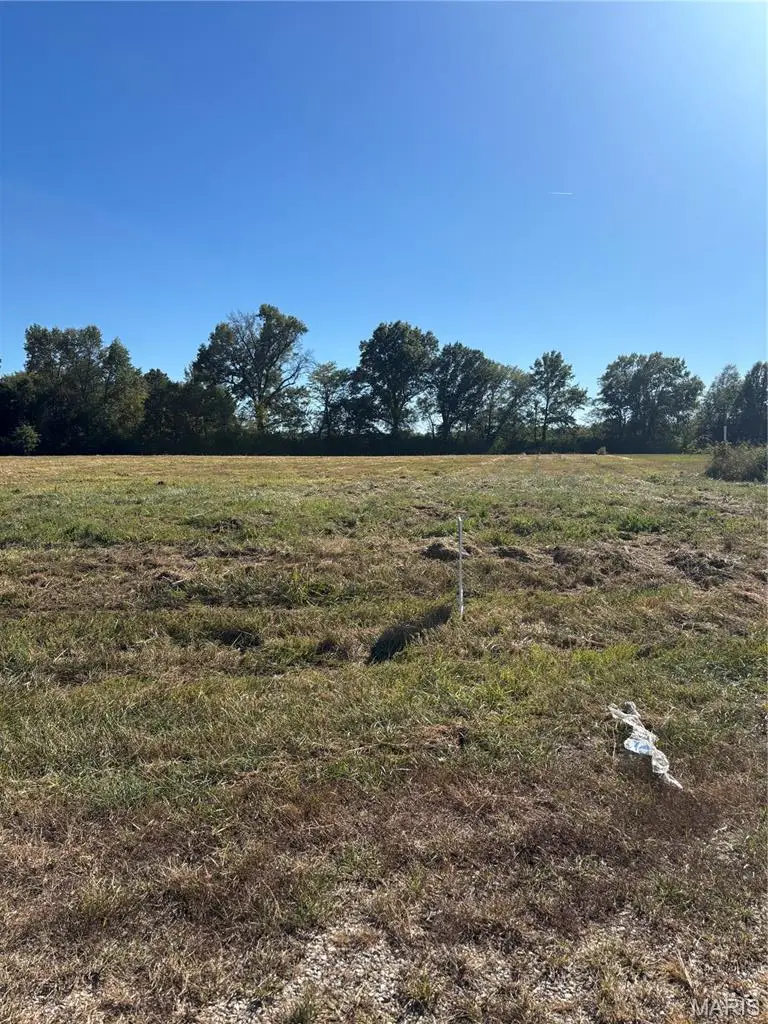 Lot 12 Jewell Lynn Ct, Warrenton, MO 63383 - #2