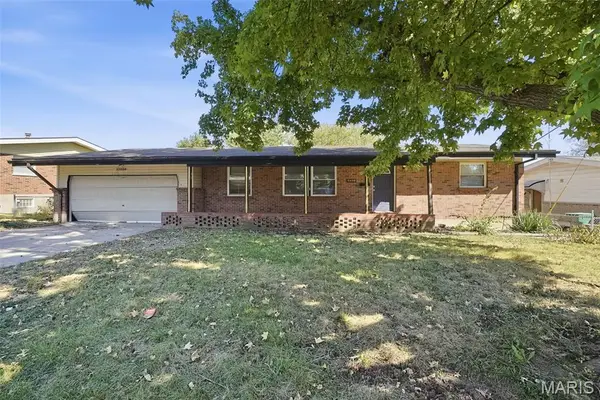 11038 Saginaw Drive, St Louis, MO 63136