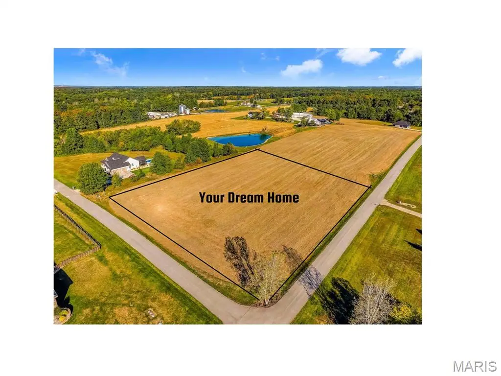 141 Michaelangelo Dr, Moscow Mills, MO 63362 - #1