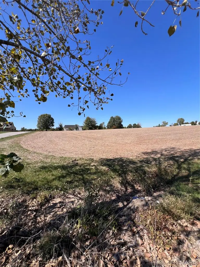 141 Michaelangelo Dr, Moscow Mills, MO 63362 - #2