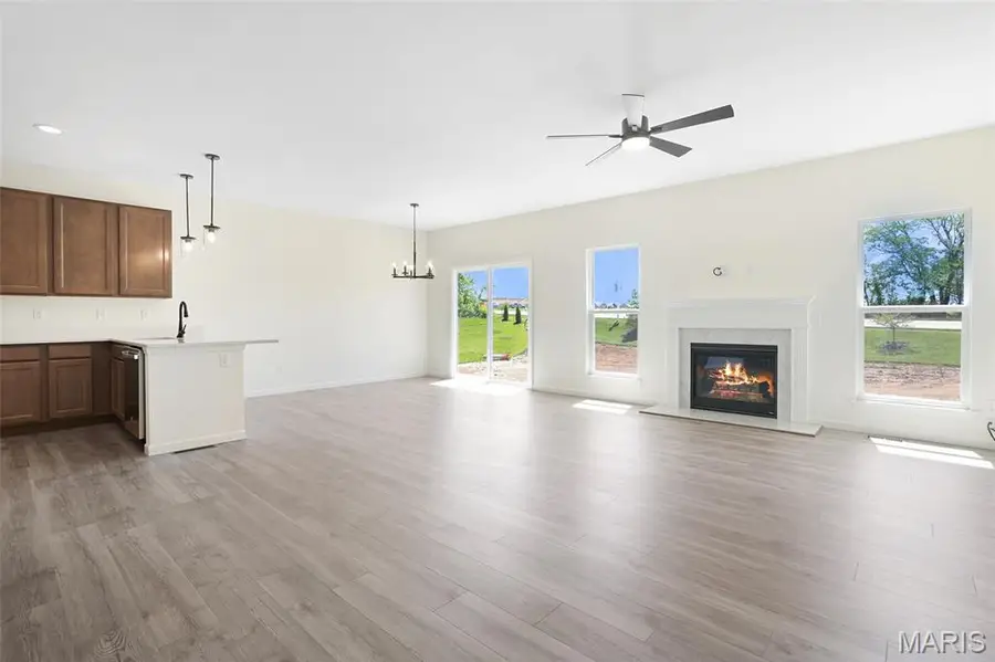 117 Cardinal Flower Drive, Wentzville, MO 63385 - #2