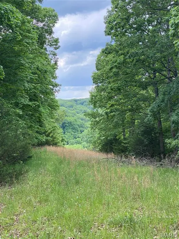 14 +/- AC Steeple Rock Drive, Defiance, MO 63341
