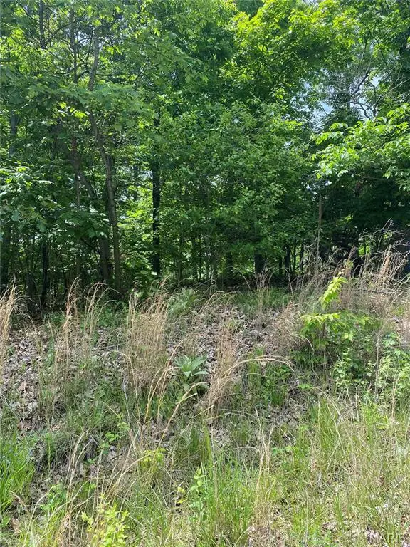 14 +/- AC Steeple Rock Drive, Defiance, MO 63341 - #3