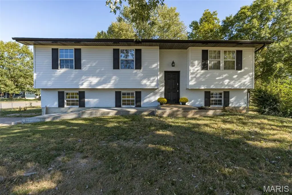 601 Louise Street, Farmington, MO 63640 - #1