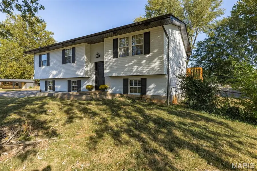 601 Louise Street, Farmington, MO 63640 - #3