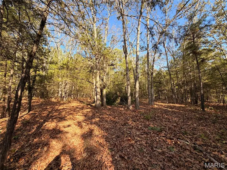 Lot A Highway 32, Union, MO 63640 - #2