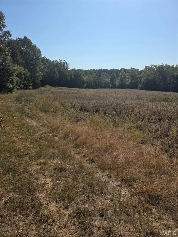 0 Birch Creek Farm Loop, Leslie, MO 63056