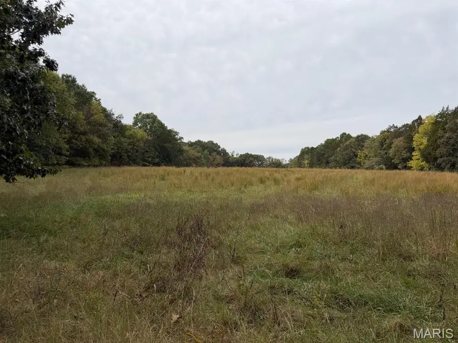 2 Allen Road, Hillsboro, MO 63050 - #3