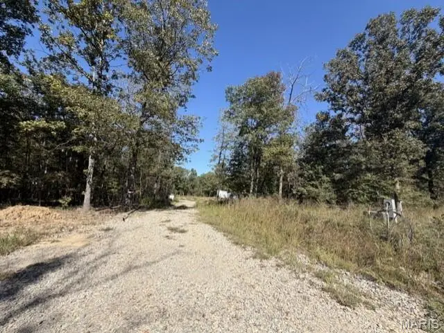 225 Lyndan Way, Johnson, MO 63935 - #1