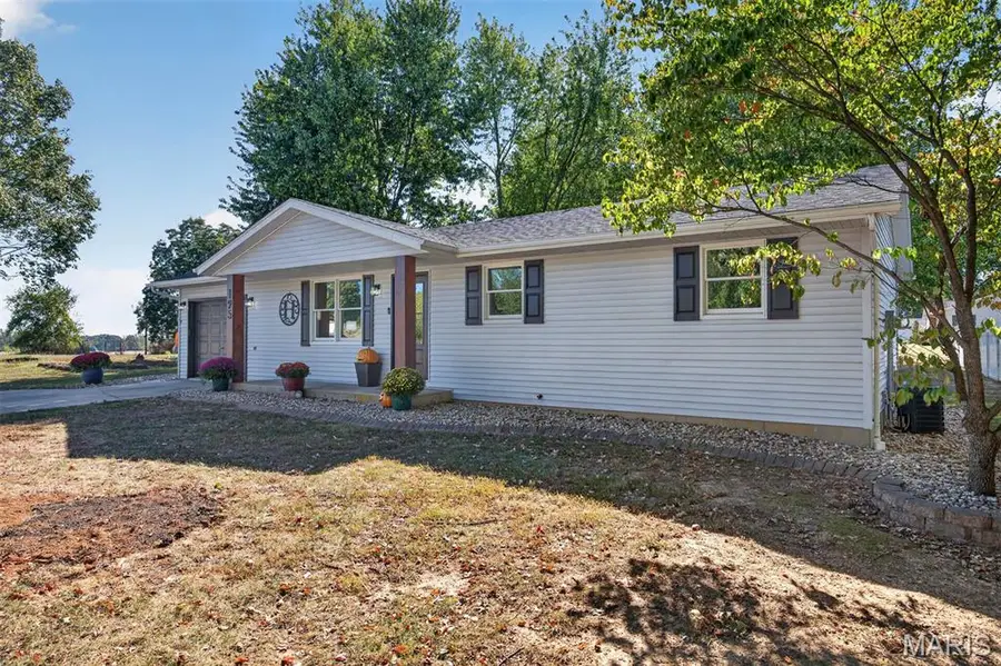 195 Lake Vista Drive, Carlyle, IL 62231 - #3